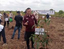 Wabup Muslimin Tanja Pimpin Gerakan Penanaman Serentak di Hutan Desa KKD, Komitmen Jaga Kelestarian Lingkungan