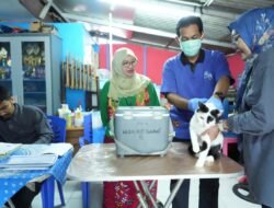Vaksinasi Rabies Gratis di RW 06 Pondok Bambu, 169 Hewan Penular Rabies Terlayani