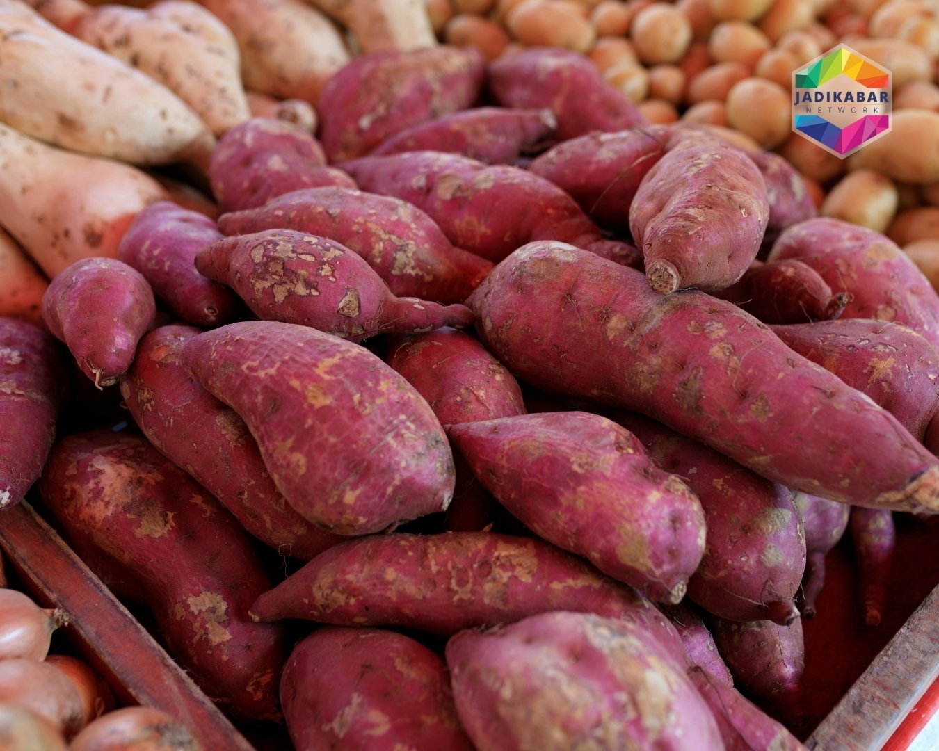 Manfaat Ubi untuk Kesehatan: Superfood Lokal yang Sering Diremehkan