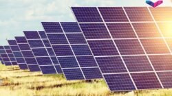 Danantara Gandeng Kampus Percepat Proyek PLTS 100 GW, Target 17 GW Terpasang Tahun Ini