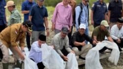 Gubernur Jambi penebaran benih ikan  bersama  PT. KMH PLTA Kerinci