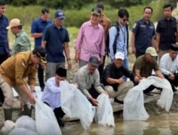 Gubernur Jambi penebaran benih ikan  bersama  PT. KMH PLTA Kerinci