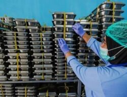 Mobil Boks Program MBG Ugal-ugalan di Magelang ternyata Asal Sragen, Polisi Ungkap Identitas Pengemudi dan Beri Sanksi