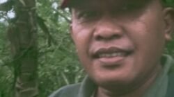 Berdasarkan UU no 12 th 2011 tidak termasuk hierarki peraturan perundang undangan