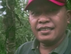 Berdasarkan UU no 12 th 2011 tidak termasuk hierarki peraturan perundang undangan