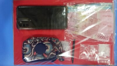 Polres Pelabuhan Tanjung Perak Amankan Pengedar Sabu di Surabaya, 4,02 Gram Barang Bukti Disita