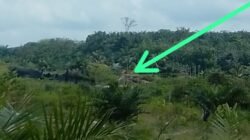 Dugaan PETI di Sungai Lintang Pulau Komang Kian Menguat, Publik Desak Aparat Lakukan Penelusuran