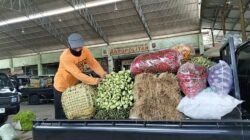 Harga Sayur Ngegas–Ngedrop di Musim Hujan, Kembang Kol Tiba-Tiba Mahal! Ini Kata Pedagang dan Kepala Pasar