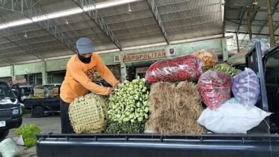 Harga Sayur Ngegas–Ngedrop di Musim Hujan, Kembang Kol Tiba-Tiba Mahal! Ini Kata Pedagang dan Kepala Pasar