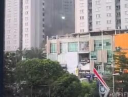 Kebakaran Apartemen Mediterania Garden, 22 Unit Damkar Dikerahkan, Penghuni Sempat Terjebak