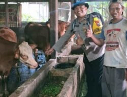 AIPDA Nanang Sumantri, S.H. Mas Bhabinkamtibmas Sidomukti Aktif Monitoring Ternak, Dukung Ketahanan Pangan dan Kesehatan Hewan Kurban