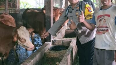 AIPDA Nanang Sumantri, S.H. Mas Bhabinkamtibmas Sidomukti Aktif Monitoring Ternak, Dukung Ketahanan Pangan dan Kesehatan Hewan Kurban
