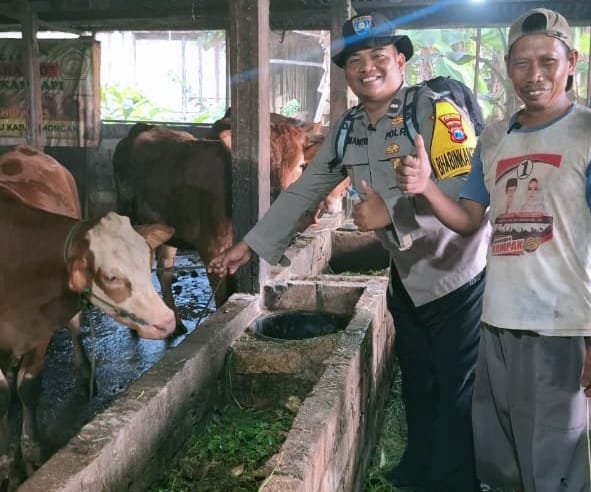 AIPDA Nanang Sumantri, S.H. Mas Bhabinkamtibmas Sidomukti Aktif Monitoring Ternak, Dukung Ketahanan Pangan dan Kesehatan Hewan Kurban