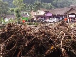Hujan Semalaman, Grabag Lumpuh! Longsor & Pohon Tumbang Hantam Rumah Warga, Akses Terputus