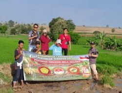 Keberhasilan Terapan Organik Bela Negara FKBN Buktikan Panen Naik dan Perbaikan Kondisi Tanah