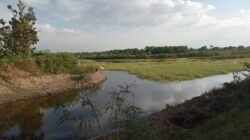 Waduk Dusun Dermo Spot Mancing Terbaik Cukup Bayar Tiket Rp25 Ribu, bisa Mancing Sepuasnya Dan Ditemani Pemandangan Hutan Jati