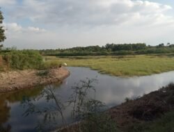 Waduk Dusun Dermo Spot Mancing  Terbaik Cukup Bayar Tiket  Rp25 Ribu, bisa Mancing Sepuasnya Dan  Ditemani Pemandangan Hutan Jati