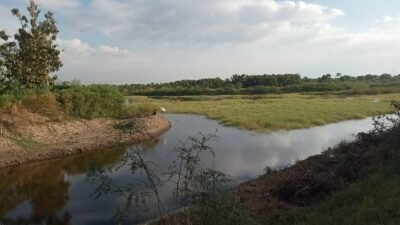 Waduk Dusun Dermo Spot Mancing Terbaik Cukup Bayar Tiket Rp25 Ribu, bisa Mancing Sepuasnya Dan Ditemani Pemandangan Hutan Jati
