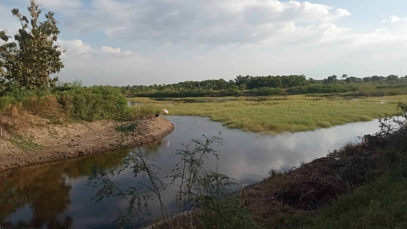 Waduk Dusun Dermo Spot Mancing Terbaik Cukup Bayar Tiket Rp25 Ribu, bisa Mancing Sepuasnya Dan Ditemani Pemandangan Hutan Jati