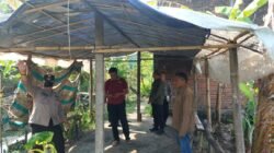 Arena Sabung Ayam di Keboan Anom Dibongkar dan Dirobohkan Polisi