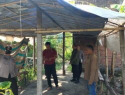 Arena Sabung Ayam di Keboan Anom Dibongkar dan Dirobohkan Polisi