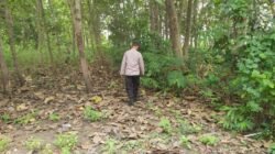 Polsek Kenduruan Polres Tuban Patroli Kawasan Hutan Antisipasi Karhutla dan Bencana Alam