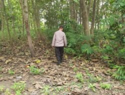 Polsek Kenduruan Polres Tuban Patroli Kawasan Hutan Antisipasi Karhutla dan Bencana Alam