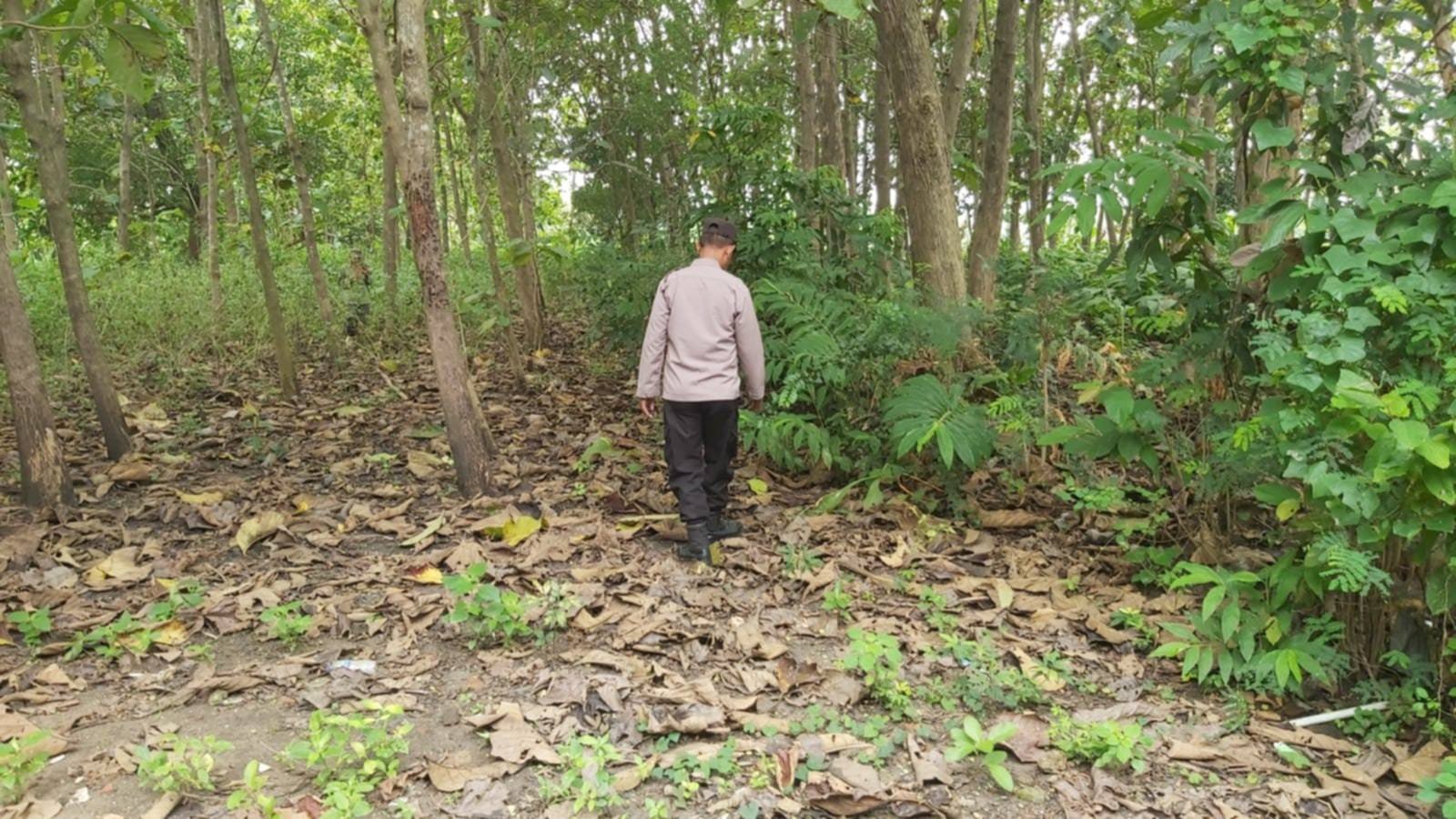 Polsek Kenduruan Polres Tuban Patroli Kawasan Hutan Antisipasi Karhutla dan Bencana Alam