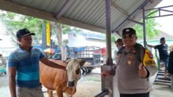 Mas Bhabin Polisi Sahabat Semua Kalangan , Aipda Nanang Sumantri  SH. Monitoring Lapak Hewan Qurban  dan Pastikan Ternak di Lamongan  Aman Dari PMK