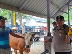 Mas Bhabin Polisi Sahabat Semua Kalangan , Aipda Nanang Sumantri  SH. Monitoring Lapak Hewan Qurban  dan Pastikan Ternak di Lamongan  Aman Dari PMK