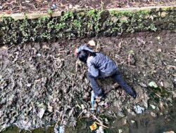 Tanam Ketela di Tengah Sedimentasi, PPKM Sindir Penanganan Kali Bening yang Dinilai Belum Maksimal