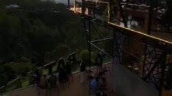 Kenz’s Hill Cafe & Resto Destinasi Wisata Kuliner di Batu Flower Garden, Tawarkan Panorama 360 Derajat, Pengunjung bisa Nikmati Sunrise dan Citylight Point