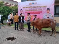 Idul Adha 2026, Polresta Sidoarjo Salurkan 100 Hewan Kurban