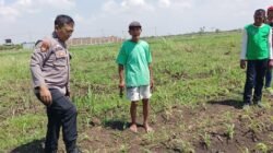 Masifkan Gerakan Ketahanan Pangan, Polisi di Kecamatan Tarik Dampingi Petani