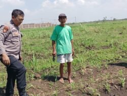 Masifkan Gerakan Ketahanan Pangan, Polisi di Kecamatan Tarik Dampingi Petani