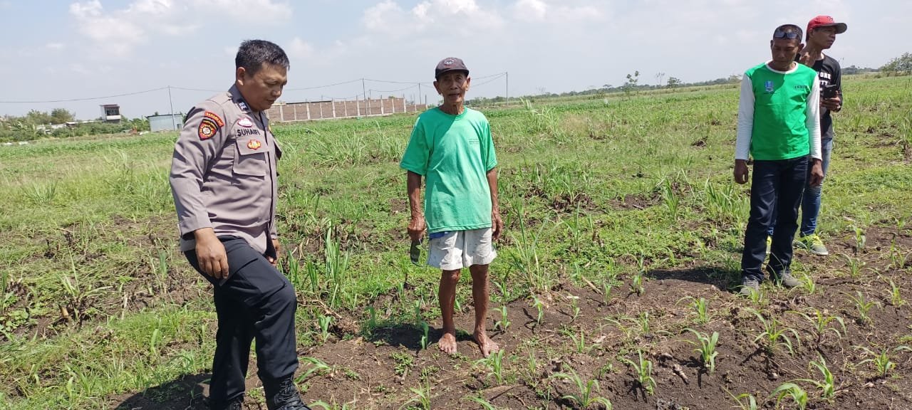 Masifkan Gerakan Ketahanan Pangan, Polisi di Kecamatan Tarik Dampingi Petani