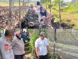 Dukung Program Ketahanan Pangan Presiden, Polres Pasuruan Bersama SMKN 1 Purwosari Kembangkan Budidaya Uwi Ungu
