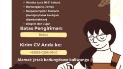 Fruitful Day Buka Lowongan Kerja Booth Keeper, Terbuka untuk Wanita Usia 18–21 Tahun