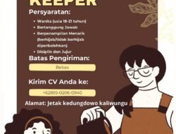 Fruitful Day Buka Lowongan Kerja Booth Keeper, Terbuka untuk Wanita Usia 18–21 Tahun