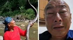 18 Jam Matanya Tidak Bisa Terbuka, Gini Kondisi Heru Gundul Usai Terkena Semburan Bisa Ular Kobra di Daerah Jateng