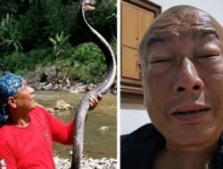 18 Jam Matanya Tidak Bisa Terbuka, Gini Kondisi Heru Gundul Usai Terkena Semburan Bisa Ular Kobra di Daerah Jateng