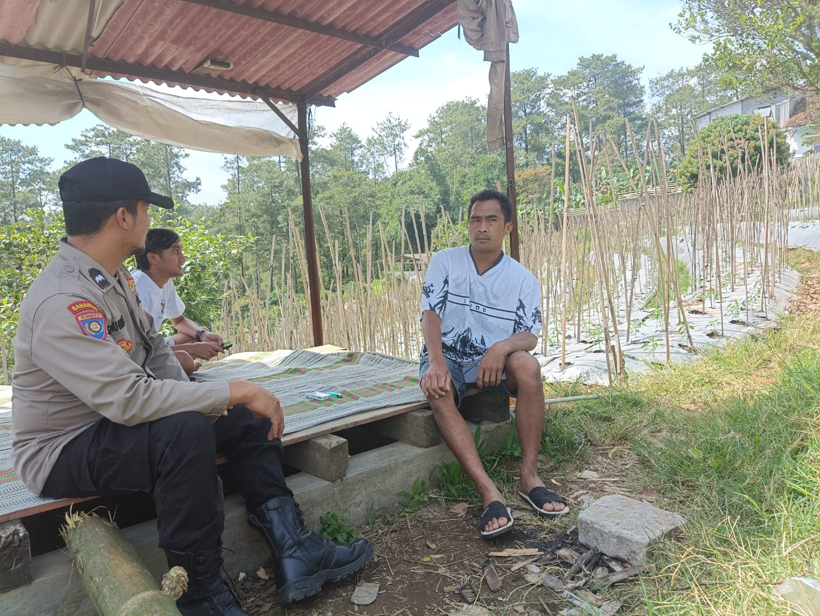 Bhabinkamtibmas Desa Gendro Tinjau Tanaman Cabai dalam Program Pekarangan Pangan Bergizi