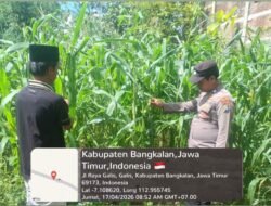 Polsek Galis Kawal Ketahanan Pangan Lewat Perawatan Tanaman Jagung di Pakaan Laok