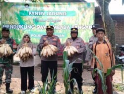 Dukung Asta Cita Presiden, Polsek Puspo Panen Jagung Bersama Petani