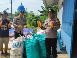Bhabinkamtibmas Polsek Candi Pantau Pertumbuhan Jagung, Dukung Program Ketahanan Pangan
