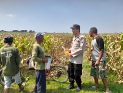 Kapolsek Prambon Masifkan Bhabinkamtibmas Sambang Petani, Guna Dongkrak Swasembada Pangan
