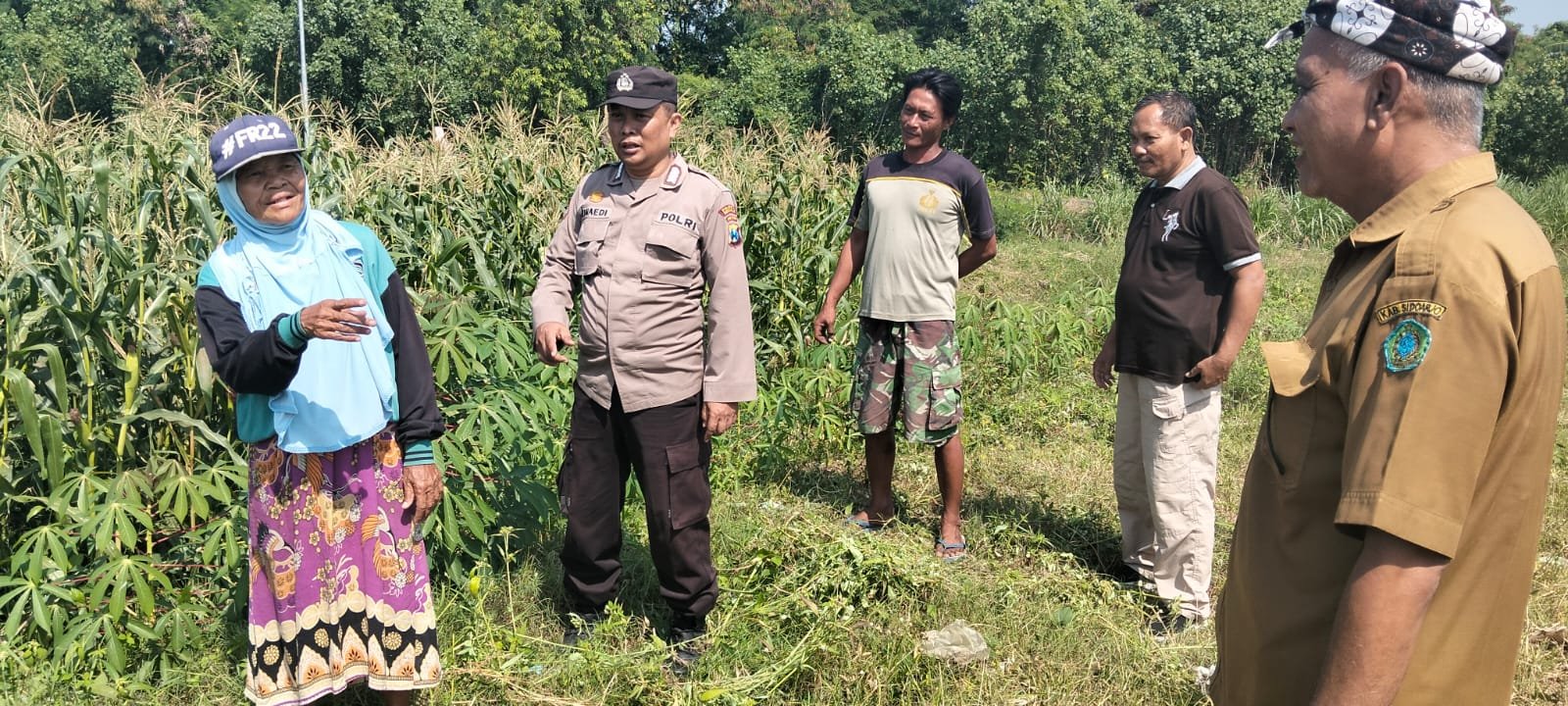 Polisi dan Petani Kelola Tanaman Jagung di Desa Kemantren, Untuk Peningkatan Swasembada Pangan