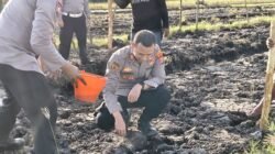 Kapolsek Wonoayu bersama Gapoktan Tanam Jagung Kuartal II, Dukung Swasembada Pangan Nasional