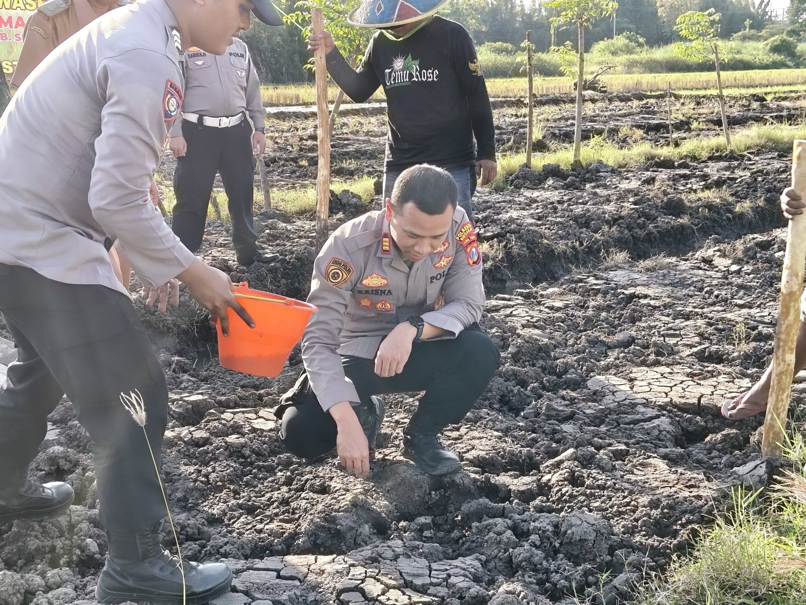 Kapolsek Wonoayu bersama Gapoktan Tanam Jagung Kuartal II, Dukung Swasembada Pangan Nasional