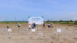 Tanam Perdana PM-AAS di Rawa Medang, Pemkab Tanjab Barat Percepat Modernisasi Pertanian dan Perkuat Ketahanan Pangan